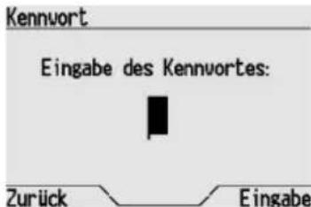 Gewiss GW12771VT - PASSWORT EINSTELLLEN/ÄNDERN - 2