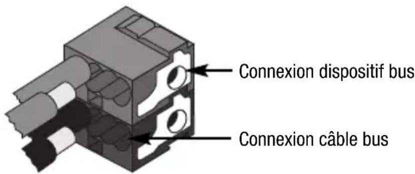 Gewiss GW14761 - Connexions électriques - 2