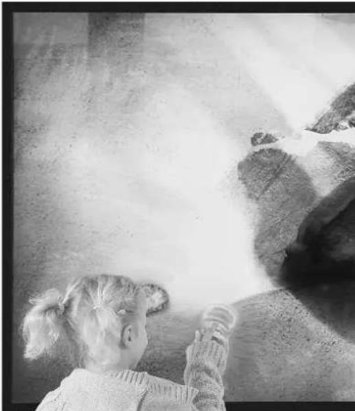 Legamaster 7194115 - Legamas - 1