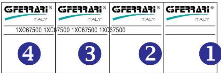 G3 Ferrari Silver 28 - 3