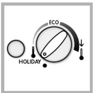 INDESIT BAAN 40 FNF NXWD - Funzione HOLIDAY - 1