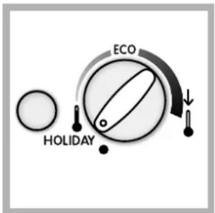 INDESIT BAAN 40 FNF NXWD - Funcția holiday - 1