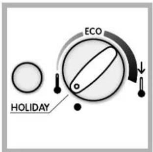 INDESIT BAAN 40 FNF NXWD - Holiday function - 1