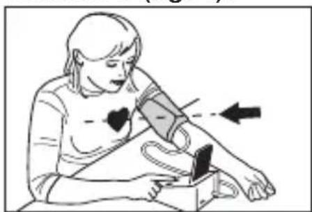 MEDISANA CardioDock 2 - Posición correcta para la medición - 1