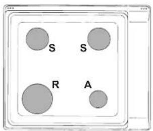 INDESIT PIM 640 S (IX) - Únicamente para aquellos aparatos con dispositivos de seguridad contra fugas de gas - 1