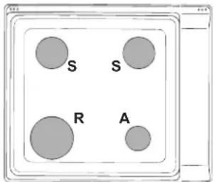 INDESIT PIM 640 S (IX) - Характеристики конфорок и форсунок - 1