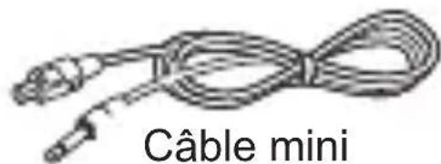 DIVACORE Mojito - Contenu : - 5