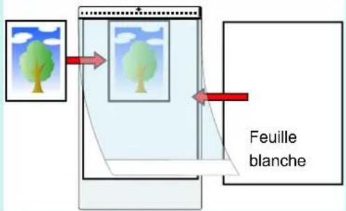 Feuille blanche