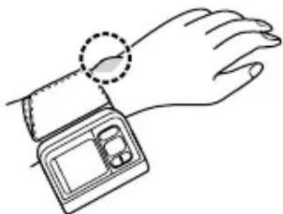 OMRON BP629 - APPLYING THE CUFF ON THE LEFT WRIST - 2