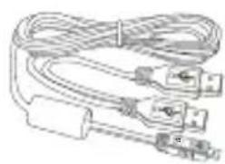 MUSTEK ScanExpress S40 Plus - Contenido del paquete - 2