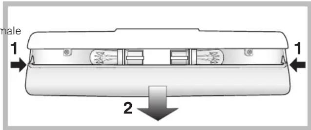INDESIT BIAA 34 F SI - Lampenaustausch - 1