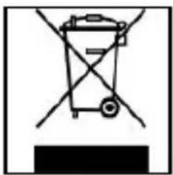 INTENSO Alarmbox - Disposal of old electronic devices - 1