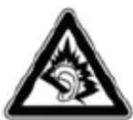 INTENSO Alarmbox - Smaltimento di apparecchi elettrici vecchi - 2