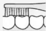 PANASONIC EWDS90QS - Mordisco (dentes posteriores) - 1