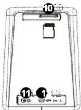 ION Film 2 SD Plus - FEATURES - 2