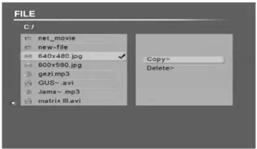 Diamond Multimedia HD Media Wonder MP700 - Copying and deleting - 2
