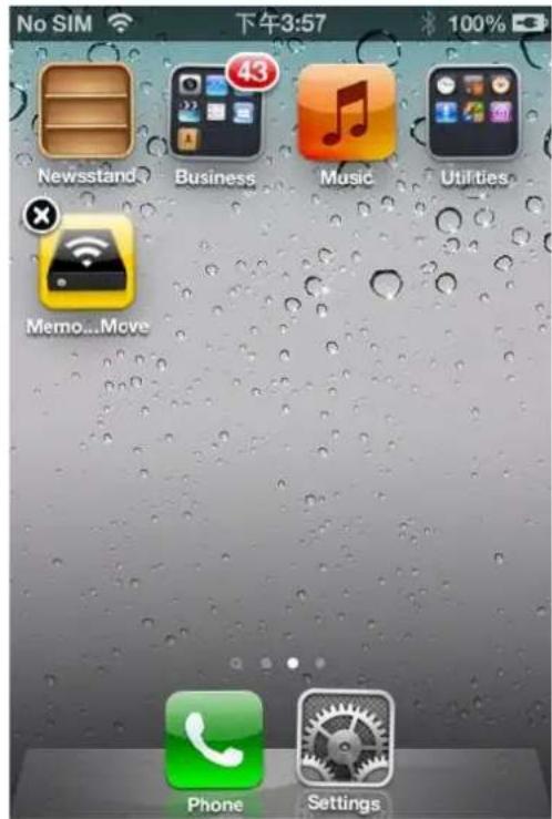INTENSO Memory 2 Move - IOS - 1