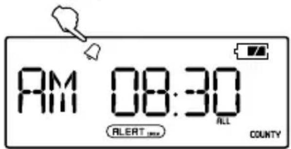 ETON ZoneGuard Plus - ACTIVER/DESACTIVER L'ALARME - 1