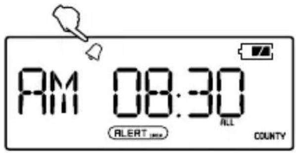 ETON ZoneGuard Plus - TURN THE ALARM ON/OFF - 1