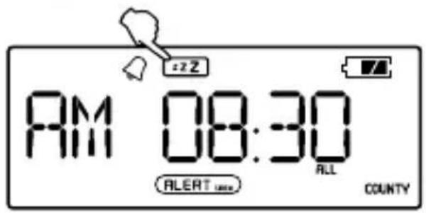 ETON ZoneGuard Plus - ACTIVAR LA ALARMA APAGADO/ENCENDIDO - 2