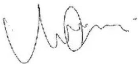 LEXIBOOK CP050SPI1 - LXB - 1