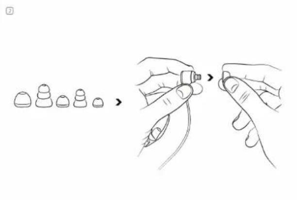 Diagram showing a sequence of small ear mushrooms being held, with arrows indicating the process.