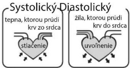 Systolický-Diastolický tepna, ktorou prúdi krv zo srdca stlačenie žila, ktorou prúdi krv do srdca uvoľhenie