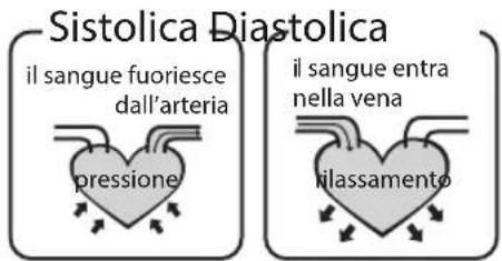 Sistolica Diastolica il sangue fuoriesce dall'arteria pressione il sangue entra nella vena ilassamento