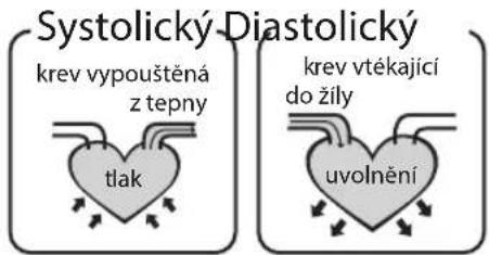 Systolický-Diastolický krev vypouštěná z tepny tlak krev vtékající do žily uvolnění