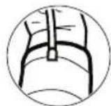 HOMEDICS BPA2000EU - Fitting the cuff - 5