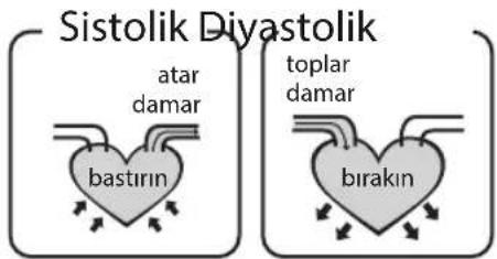 Sistolik Davastolik atar damar bastirin toplar damar birakin