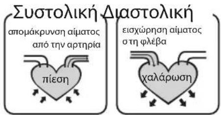 Συστολική Διαστολική απομάκρυνση αίματος από την αρτηρία πίεση εισχώρηση αίματος στη φλέβα χαλάρωση
