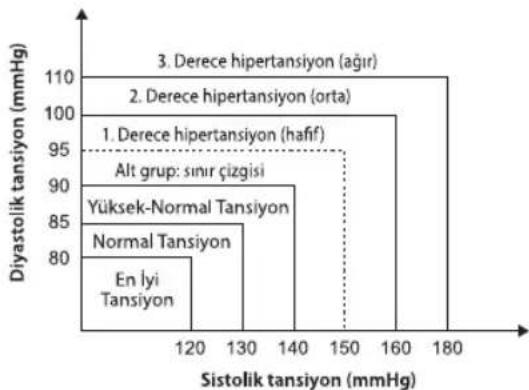 HOMEDICS BPA2000EU - Standart tansiyon sınıflandırması nedir? - 2