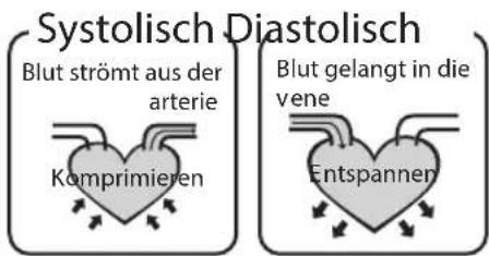 HOMEDICS BPA3000EU - Welche Blutdruck-Einstufung liegt standardmäßig vor? - 1