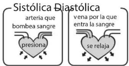 HOMEDICS BPA3000EU - Cuál es la clasificacion estandar de la presión arterial? - 1