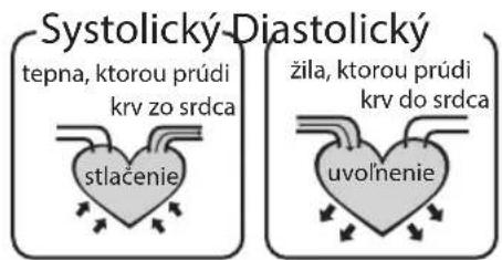 HOMEDICS BPA3000EU - Co je systolicky a diastolicky tlak? - 1