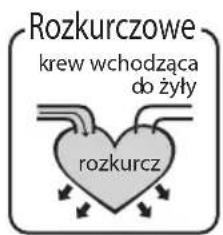 HOMEDICS BPA3000EU - Jaka jest standardowa klasyfikacja ciasnienia krwi? - 2