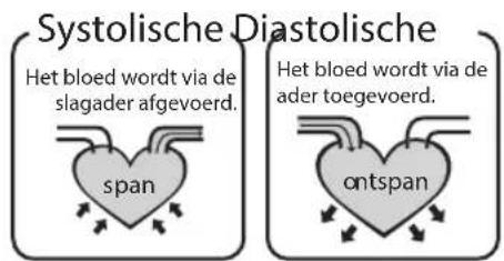 HOMEDICS BPA3000EU - Wat is systolische druk en diastolische druk? - 1