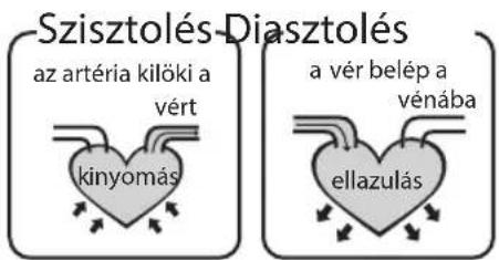 HOMEDICS BPA3000EU - Mik a standard vénnyomás-besorolások? - 1