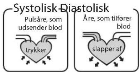 HOMEDICS BPA3000EU - Hvader standardklassifikationen for blodtryk? - 1