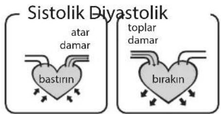 HOMEDICS BPA3000EU - Standart tansiyon siniflandirmas nedir? - 1