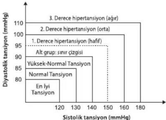 HOMEDICS BPA3000EU - Standart tansiyon siniflandirmas nedir? - 2