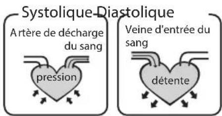HOMEDICS BPA3000EU - Quelle est la classification standard de la pression arterielle? - 1