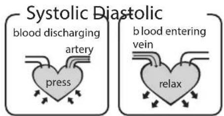HOMEDICS BPA3000EU - What is the standard blood pressure classification? - 1
