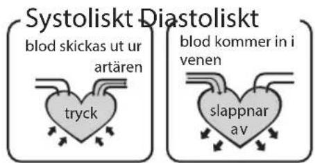 HOMEDICS BPA3000EU - Vadär systoliskt tryck och diastoliskt tryck? - 1