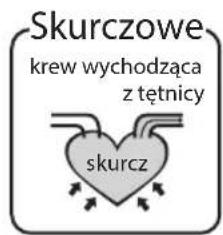 HOMEDICS BPA3000EU - Jaka jest standardowa klasyfikacja ciasnienia krwi? - 1