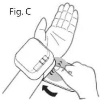 Fig. C