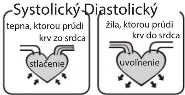 Systolický Diastolický tepna, ktorou prúdi krv zo srdca stlačenie žila, ktorou prúdi krv do srdca uvoľnenie