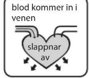 blod kommer in i venen slappnar av