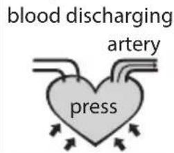 blood discharging artery press